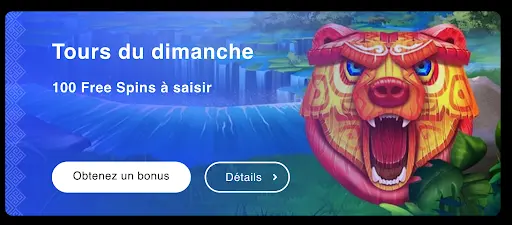 Bannière Tours du dimanche avec 100 Free Spins et tête d’ours colorée en arrière-plan.